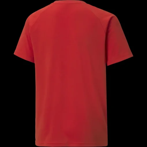 teamLIGA Striped Jersey Jr, träningströja junior - T-Shirts - teamLIGA Striped Jersey Jr, träningströja junior