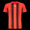 teamLIGA Striped Jersey, träningströja herr - T-Shirts - teamLIGA Striped Jersey, träningströja herr