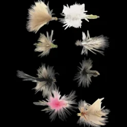 Torrflugor 1 - Flugor - Torrflugor 1