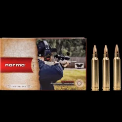 300WM 9,7 JAKTMATCH NORMA - Kula - 300WM 9,7 JAKTMATCH NORMA