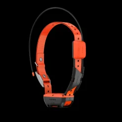 Alpha T20 GPS collar, hundhalsband, GPS - Handhållen Gps - Alpha T20 GPS collar, hundhalsband, GPS