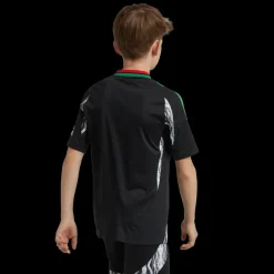 Arsenal Away Jersey 2024/25, fotbollsdräkt, junior - Premier League - Arsenal Away Jersey 2024/25, fotbollsdräkt, junior