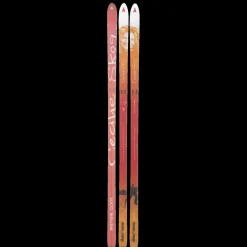 BC Skis Cecilie Skog 24/25, fjällskida dam - Tur - BC Skis Cecilie Skog 24/25, fjällskida dam