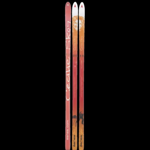 BC Skis Cecilie Skog 24/25, fjällskida dam - Tur - BC Skis Cecilie Skog 24/25, fjällskida dam