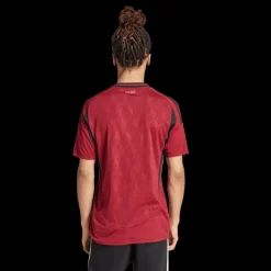 Belgium Home Jersey / EURO24, fotbollsdräkt, herr - Landslag - Belgium Home Jersey / EURO24, fotbollsdräkt, herr