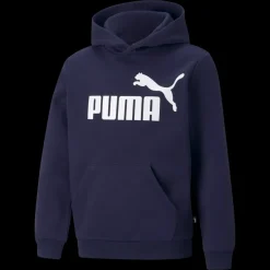 ESS Big Logo Hoodie FL B, huvtröja, junior - Fritidströjor - ESS Big Logo Hoodie FL B, huvtröja, junior