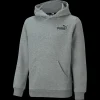 Essentials Small Logo Hoodie, huvtröja junior - Fritidströjor - Essentials Small Logo Hoodie, huvtröja junior