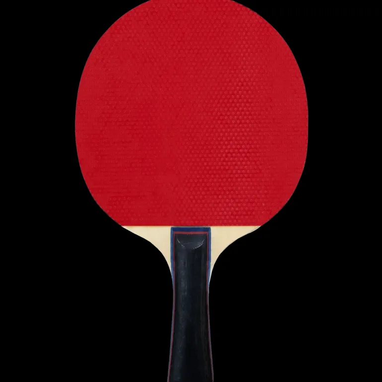FZ Classic Table Tennis 1-Star , bordtennisracket för nybörjare, unisex - Bordtennisracketar - FZ Classic Table Tennis 1-Star , bordtennisracket för nybörjare, unisex