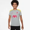 Liverpool FC Dri-FIT Strike Short Sleeve Top K3R, träningströja, junior - Premier League - Liverpool FC Dri-FIT Strike Short Sleeve Top K3R, träningströja, junior