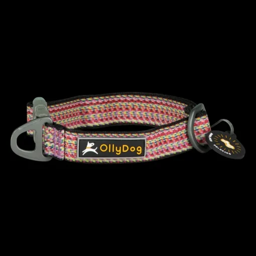 Rescue Collar Prism Green, halsband - Koppel & Halsband - Rescue Collar Prism Green, halsband