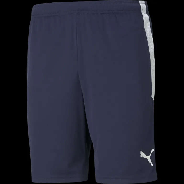 teamLIGA Training Shorts, shorts senior - Shorts - teamLIGA Training Shorts, shorts senior